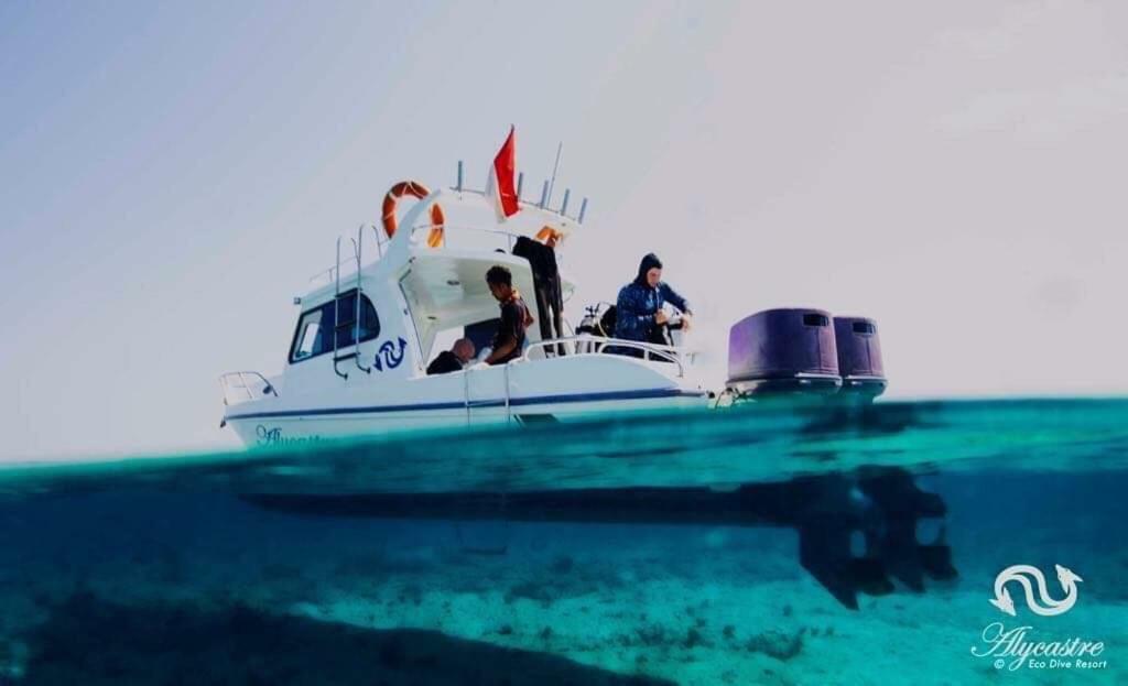 Eco Dive Resort Alycastre Maumere Exterior photo